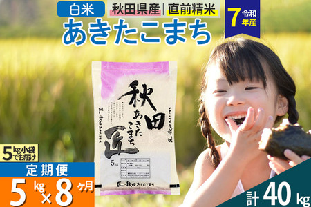 【白米】＜令和7年産＞ 《定期便8ヶ月》秋田県産 あきたこまち 5kg (5kg×1袋)×8回 5キロ お米  匠