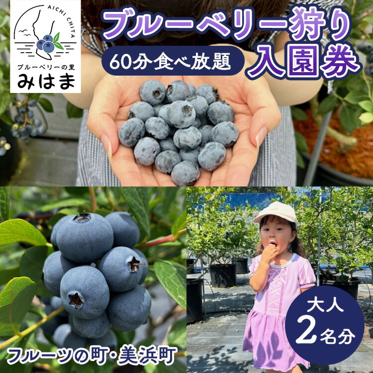 【ふるさと納税】【食べ放題！】ブルーベリ狩り入園券 大人2名分