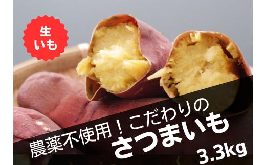 島根県飯南町産サツマイモ うやま農園のさつまいも　3.3㎏【さつまいも 生 紅はるか サツマイモ 生いも 農薬不使用 農家直送 Ａ-11】