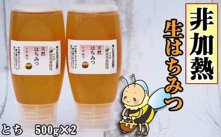 簗場養蜂場 非加熱 生はちみつ とち 500g 2本 ／ はちみつ 蜂蜜 ハチミツ 国産 【あねっこ】