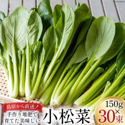 ふるさと納税 島原市 【毎月定期便】産地直送　小松菜　30束全3回