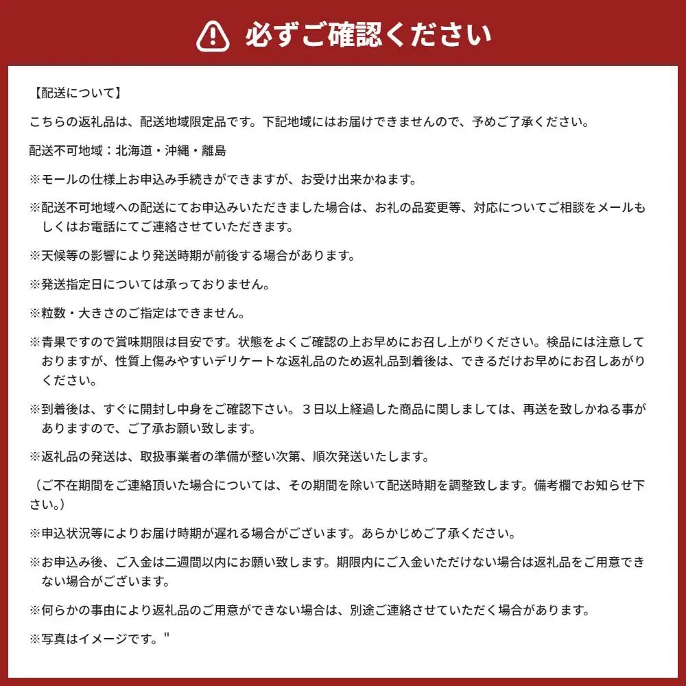 ゆうべに ・ 恋みのり 食べ比べセット 約1kg いちご イチゴ 苺 熊本県 熊本市 果物 くだもの 果実 デザート フルーツ 【 2027年1月上旬 ～ 3月下旬迄発送予定 】