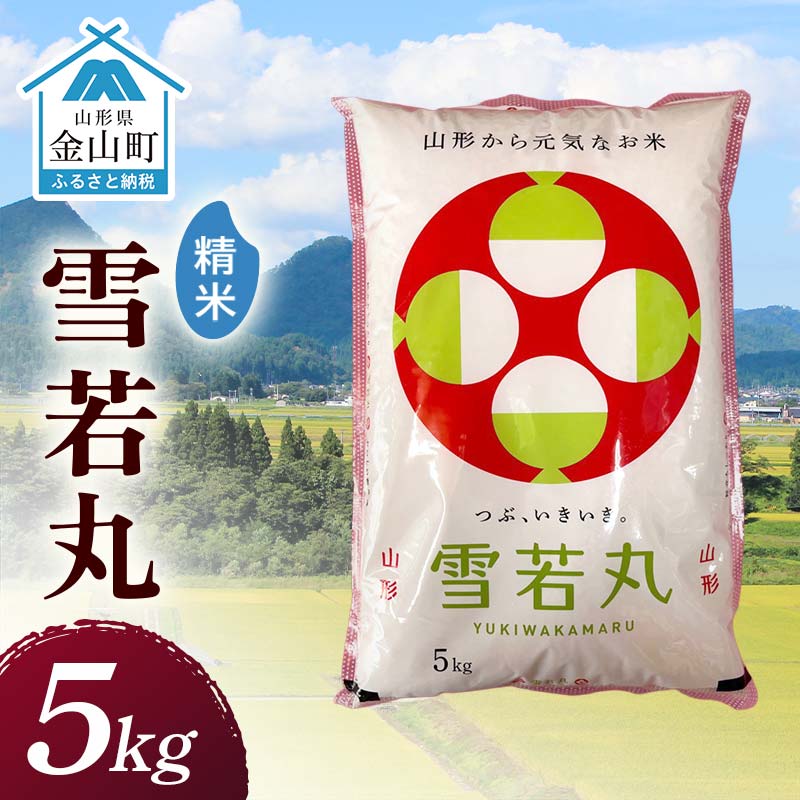 【ふるさと納税】令和7年産 金山産米 雪若丸 【精米】（5kg）米 お米 白米 ご飯 精米 ブランド米 送料無料 東北 山形 金山町 F4B-0691