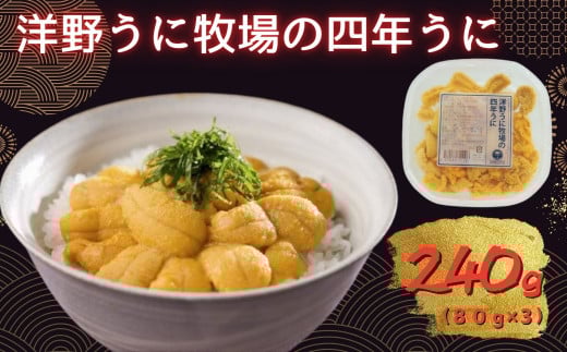 洋野うに牧場の四年うに 80ｇ×3パック ミョウバン不使用 無添加 北三陸 塩水うに 天然 生うに 雲丹 キタムラサキウニ