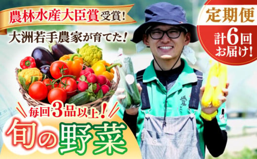 【全6回定期便】 新鮮 野菜 ！ 旬の農産物定期便  愛媛県大洲市/大洲市青年農業者協議会 [AGBL001] 新鮮野菜セット 野菜セット フルーツ 果物 果物セット 野菜詰め合わせ 野菜果物セット 国産野菜 詰め合わせ