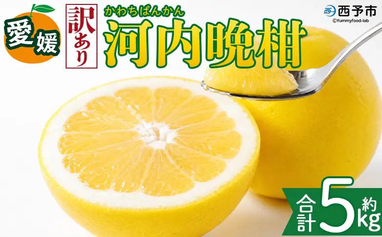 ＜【訳あり】愛媛県産 河内晩柑 約5kg＞『2026年4月上旬～8月下旬迄に順次発送予定』わけあり 訳アリ みずみずしい 和製グレープフルーツ かわちばんかん みかん 蜜柑 果物 くだもの フルーツ ミカン 愛媛 国産 特産品 株式会社三代目みかん職人 愛媛県 西予市【冷蔵】OSM0018