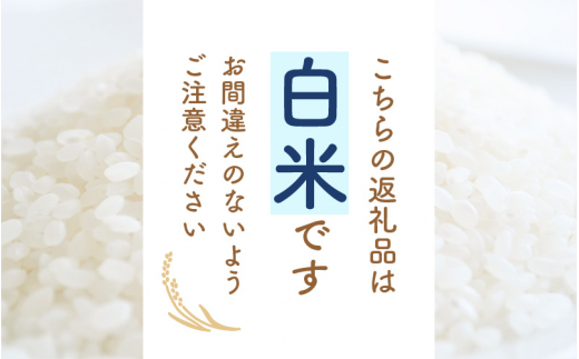 【新米】 令和7年産 コシヒカリ 10kg 福井県産【白米】【お米 こめ 米 コメ こしひかり 10キロ 精米 人気品種】 [e30-b017]