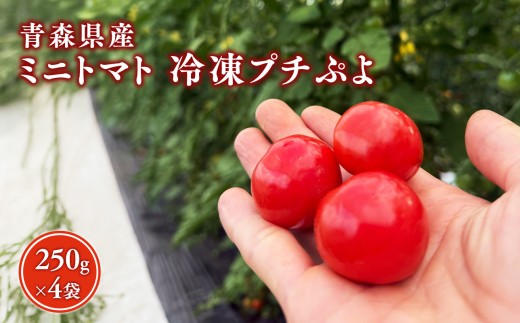
                  冷凍プチぷよ 250ｇ×4袋 ミニトマト プチトマト 薄皮 ぷよぷよ食感 ゼリー食感 甘み 野菜【hi-0070-005】
                