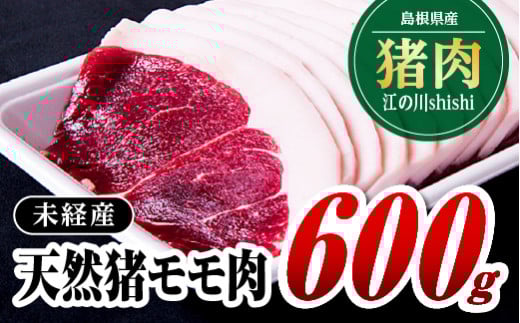 江の川shishi ジビエ イノシシ肉 スライス 約600g 未経産 AI-1｜ いのしし肉 猪肉 モモ肉 ぼたん鍋 猪鍋 鍋セット セット ジビエ料理 肉 お肉 詰め合わせ 島根県 江津市