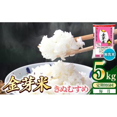 ふるさと納税 安来市 【毎月定期便】BG無洗米・金芽米きぬむすめ5kg全6回