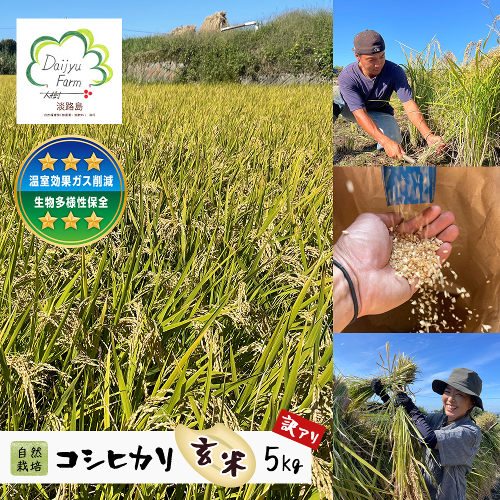 自然栽培　コシヒカリ（玄米）　5kg 《無選別品のため訳アリ》