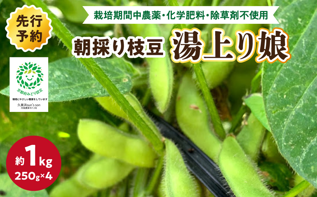 【数量限定】朝採り枝豆（湯上り娘）1kg（250g×4パック）（栽培期間中農薬・化学肥料・除草剤不使用）（2027年7月上旬～発送） おつまみ 農家応援 京都産 えだまめ 朝採れ 農家直送　KU00070