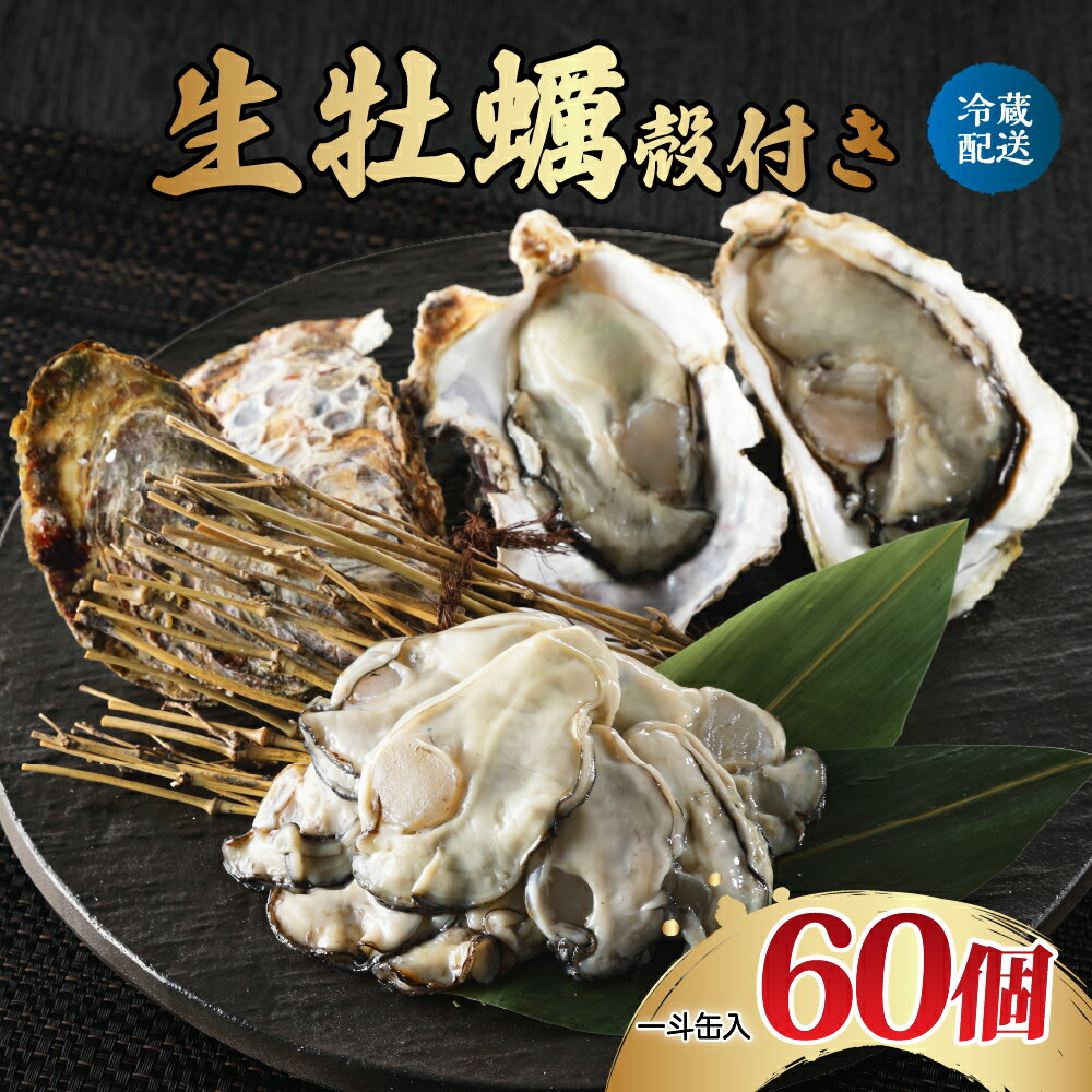 【ふるさと納税】 先行予約 生牡蠣 殻付き どおんと！一斗缶 60個入 ナバラ水産 配送時期が選べる 生食可能 生食用 冷蔵便 国産 生牡蠣 広島 音戸産 牡蠣 カキ 旨味 濃厚 新鮮 海鮮 魚介 美味しい 冬 旬 お取り寄せ 送料無料 産地直送 広島かき 先行予約 広島県 呉市
