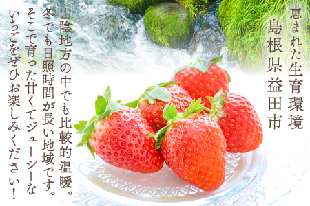 A-509 厳選プレミアム いちご（350g×2パック）