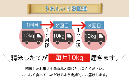 ＜令和8年産米先行受付＞ 令和9年4月上旬より配送開始 雪若丸【無洗米】30kg定期便 (10kg×3回)　鮭川村