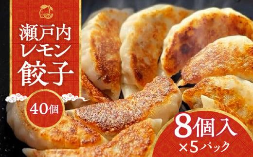 『讃岐餃子』～瀬戸内レモン餃子～40個（8個入×5パック） 372013_CF010
