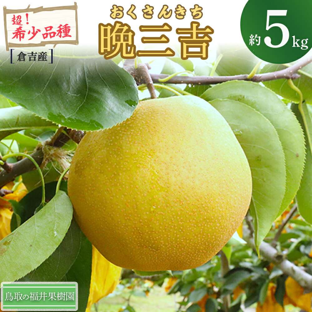 【ふるさと納税】【期間限定】令和8年産 希少梨 晩三吉 5kg（5～12玉） 倉吉産 福井果樹園 おくさんきち 梨 なし ナシ ブランド梨 冬梨 希少品種 鳥取 5kg 果物 フルーツ 和梨 先行予約 数量限定