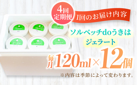 【年4回定期便】果樹園が作る 素材の味を楽しめる 旬のジェラート 120ml×12個セット【ソルベッチdoうきは】着色料不使用 ノンホモ牛乳使用 ジェラート アイス 旬 スイーツ 詰め合わせ セット 