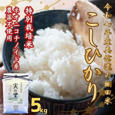 ふるさと納税 飯山市 【令和7年産】特別栽培米 『奥信濃の棚田米 実の里』こしひかり 精米 5kg(5kg×1袋)