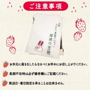 植物系有機肥料のいちご 瑠璃の宝箱 訳あり 計1.2kg(300g×4P)《2026年2月-5月発送》 先行受付 【いちご】