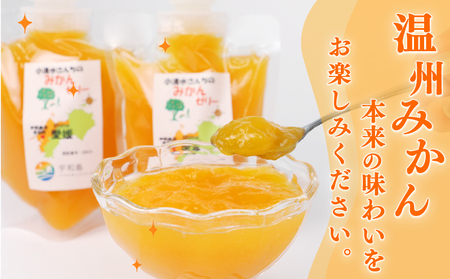 みかんゼリー 愛媛 小清水さんちのみかんゼリー 小清水農園 175g ×7個 温州 みかん mikan 愛媛みかん 飲む ゼリー 果物ゼリー フルーツ ゼリー 果汁 ジュレ 小分け パック 果物 くだ