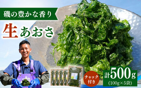 上五島産 生あおさ 100g×5袋【ごとうみ】[RCR001]
