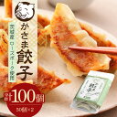 【ふるさと納税】餃子 100個 彩美 ローズポーク亭 かさま餃子 中華 笠間餃子 大容量 生餃子 なまぎょうざ ギョーザ 惣菜 おかず おつまみ つまみ ブランド豚 焼餃子 銘柄豚 送料無料