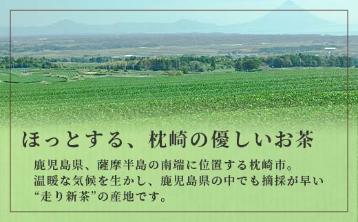 【のし付き・お中元】「天然玉露あさつゆ」緑茶ティーバッグ　水出し・お湯両用タイプ　A4−1C【配送不可地域：離島】【1511428】