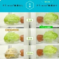 プラチナ触媒を利用した野菜・果物の鮮度維持グッズ『FT-eco Ball（エフテコボール）』1個｜茨城県土浦発！FT-eco®触媒（エフテコ触媒）を活用した、野菜・果物の鮮度を守るアイテム。野菜・果物