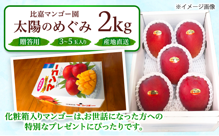 【2026年7月上旬より順次発送】【贈答用】沖縄市産マンゴー「太陽のめぐみ」 2kg(3～5玉) (化粧箱入り) 南国フルーツ 産地直送 新鮮 沖縄県産 ギフト 沖縄市 / 比嘉マンゴー園 [BCEW