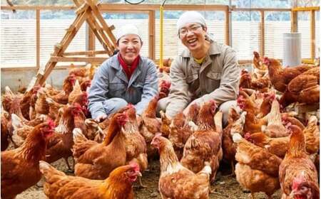 とりとんファームの平飼いたまご10個入り×3パック / 田辺市 卵 たまご 鶏卵 平飼い 卵かけごはん【trt004-2-j】