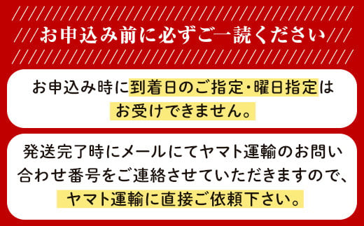 岡山県産いちご「晴苺」秀【2026年2月上旬以降順次発送】