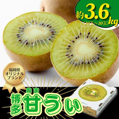 ふるさと納税 広川町 【2025年11月上旬発送開始】甘さ溢れるキウイフルーツ 博多甘うぃ計3.6kg(20〜30玉)