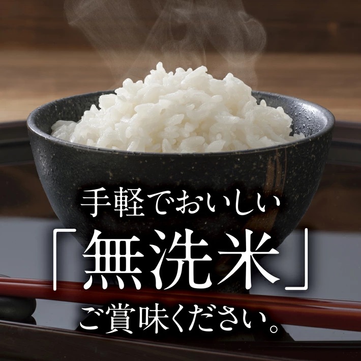 SE0445　令和7年産【無洗米】はえぬき　10kg(5kg×2袋) TO