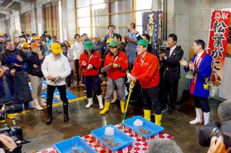 ＜お魚センターみくりや＞五輝星 松葉がに（ボイル）（大山ブランド会） 米子高島屋 200-AT8 0311