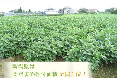【先行予約】 ＧＩ登録 くろさき茶豆1.2kg  2024年8月発送