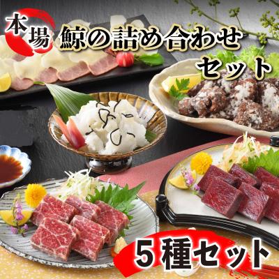 ふるさと納税 下関市 下関鯨屋 日新丸 鯨の詰合せ 5種(竜田揚、赤身肉、尾の身、おばいけ 他) 下関 山口 FG037