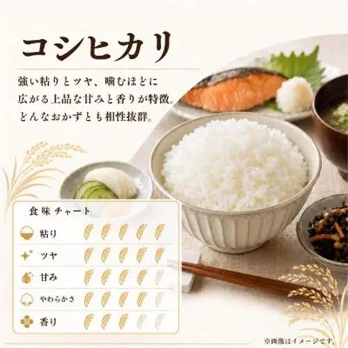 令和7年産かすみがうら市産コシヒカリ  精米  10kg_茨城県産 こしひかり 10kg 米 ご飯_【1268976】