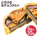 【ふるさと納税】【選べる個数】 とろける生チョコタルト 5個 10個 生チョコ チョコ チョコレート タルト ナッツ キャラメリゼ サクサク スイーツ 菓子 洋菓子 個包装 冷凍 九州 熊本県 菊陽町 送料無料