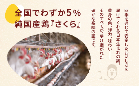 【定期便12ヶ月】純国産鶏 さくらたまご 20個｜たまご