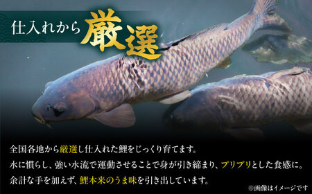原養魚場 食事券 6,000円分[AOEA002] 食事券
