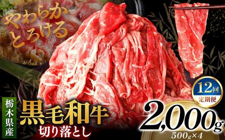 [定期便12回]栃木県産黒毛和牛切り落とし 2000g｜数量限定 黒毛 和牛 牛肉 国産牛 国産 ブランド牛 お肉 切り落とし サシ 霜降り 甘い ステーキ すき焼き しゃぶしゃぶ 焼肉 切落し 上品 アレンジ 美味しい 料理 主婦 とちぎ  栃木県 矢板市