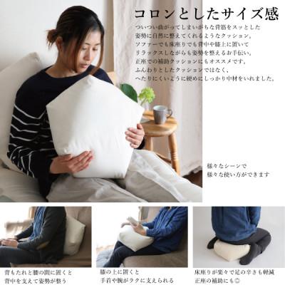 ふるさと納税 大豊町 ととのうクッション・小　姿勢を整えリラックスタイムにピッタリ(人にも環境にもやさしいエシカル製品) |  | 01