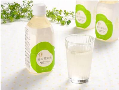 梅の果実水 350ml 24本 A-045a【受注後10日以内に発送します。但し、年末年始・お盆等・ＧＷは除きます。】