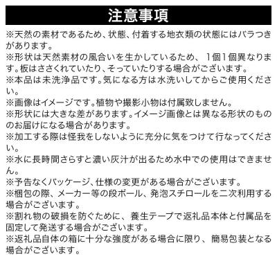 ふるさと納税 邑楽町 形状お任せ 筒型コルク Mサイズ 長さ30cm エアプランツ|09_chm-cl0101cb |  | 02