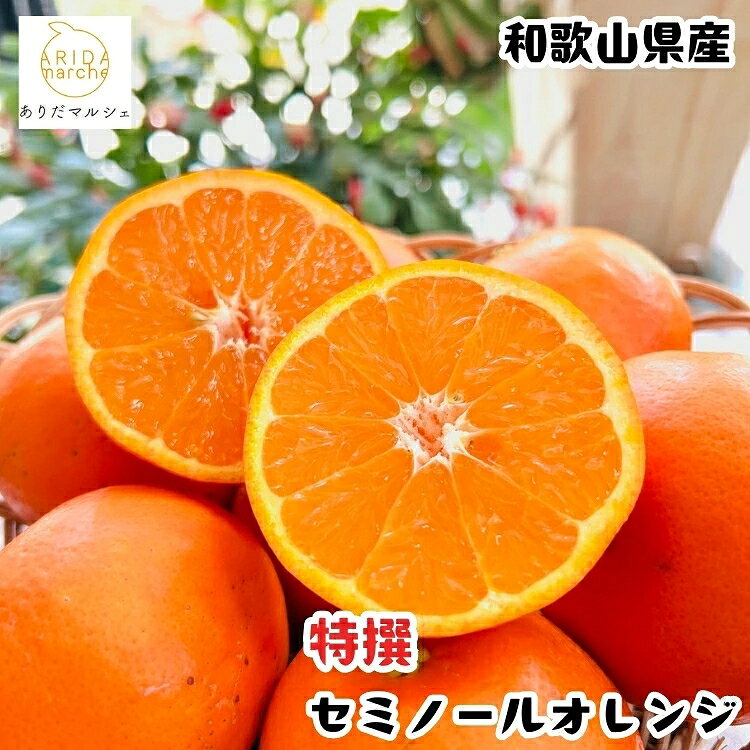 【ふるさと納税】 有田育ちの特撰セミノールオレンジ 約1.5kg 約3kg 約5kg 約7.5kg 約10kg（＋200g傷み補償分）※2027年4月上旬〜5月下旬順次発送予定