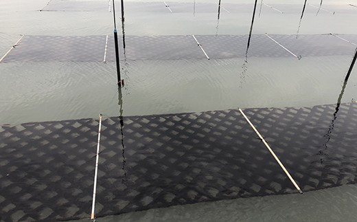 パリパリの【佐賀海苔】をお届けします_