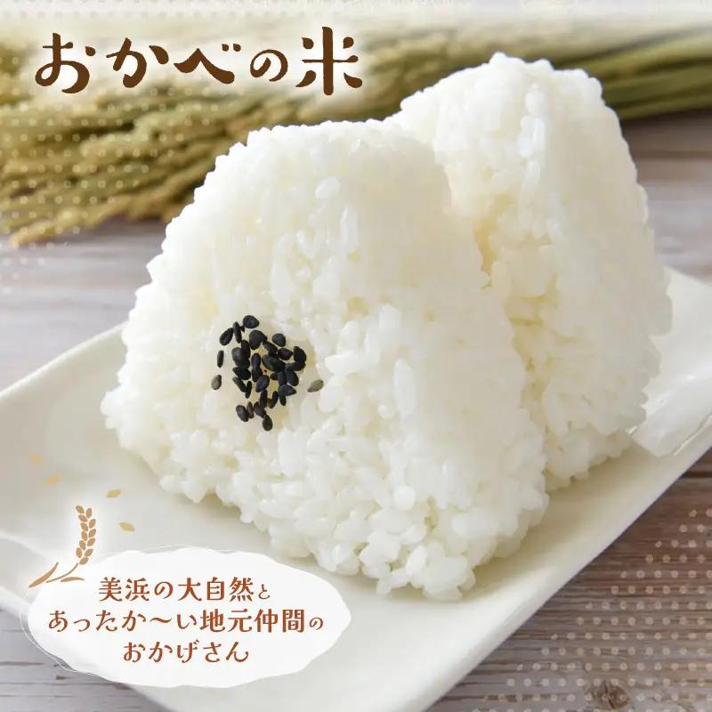 令和8年産 ふっくら モチモチ食感 大人気 濃厚 ミルキークィーン（白米）5kg【新米 米】 [m29-a031]