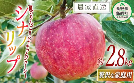 りんご シナノリップ 贅沢な 家庭用 2.8kg 信州りんご☆小山園☆ 沖縄県への配送不可 2025年8月中旬頃から2025年8月下旬頃まで順次発送予定 令和7年度収穫分 エコファーマー認定 小山園 信州 果物 フルーツ リンゴ 林檎 長野 11500円 予約 農家直送 長野県 飯綱町 [0687]