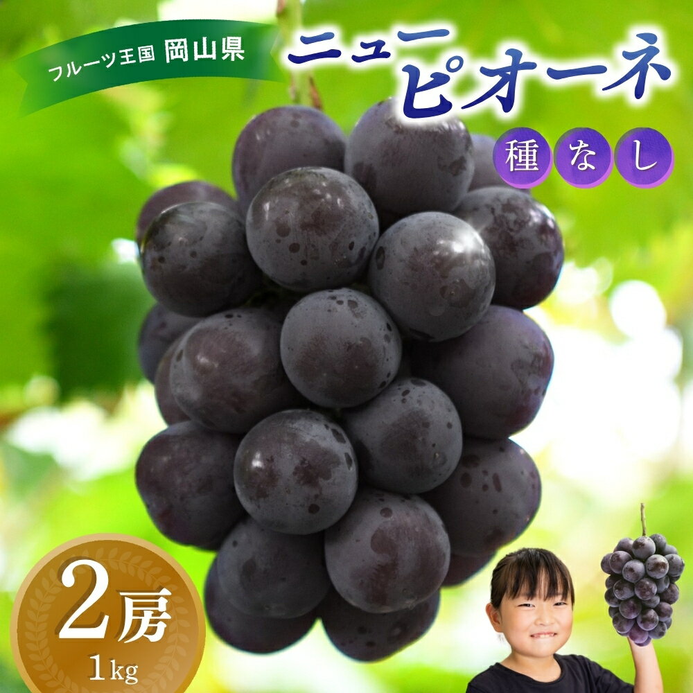 【ふるさと納税】 ぶどう 岡山 花笑み農園『ニューピオーネ』1kg（2房） P-1 hana14　2025年9月上旬～受付順に発送予定　贈答用 岡山 真庭 ピオーネ 高級 1kg 贈答 2025 真庭市 大粒 葡萄 果物 フルーツ 濃厚ピオーネ 人気 数量限定 【1144366】